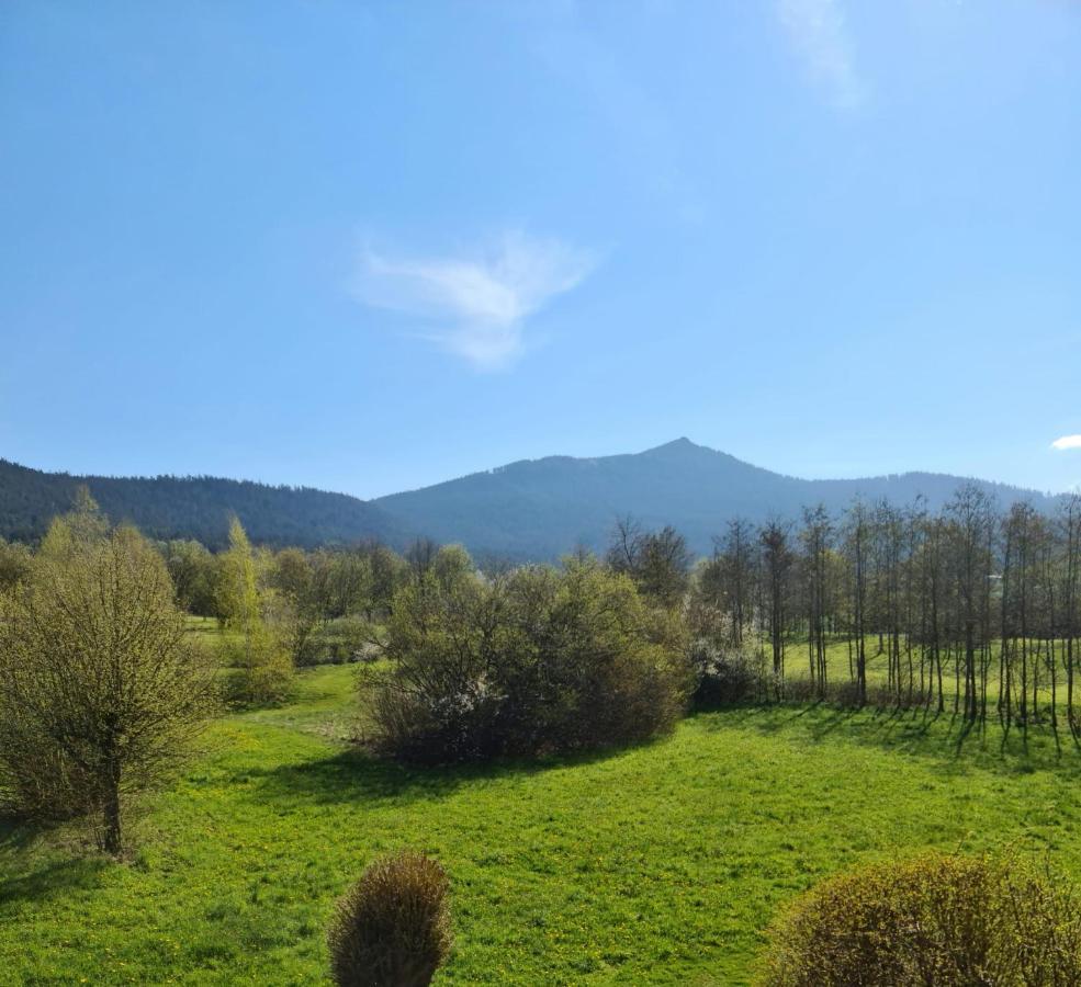 Ferienwohnung Hoamat Schmalzreich Andrea Lam Bagian luar foto